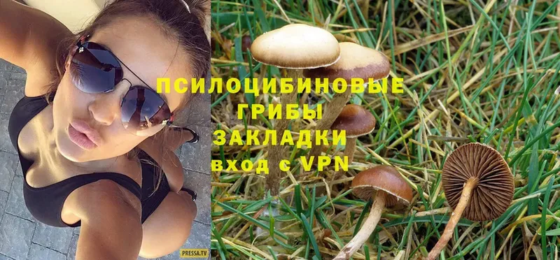 MEGA tor  Макушино  Псилоцибиновые грибы MAGIC MUSHROOMS  дарнет шоп 